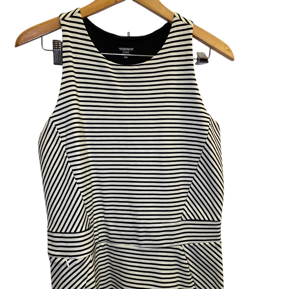 Toad & Co Transita Gorpcore Striped Black & White Dress Size L